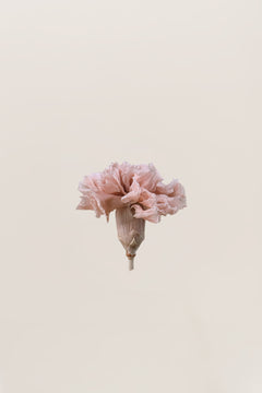 Pink Nude - NEW - Limited Edition