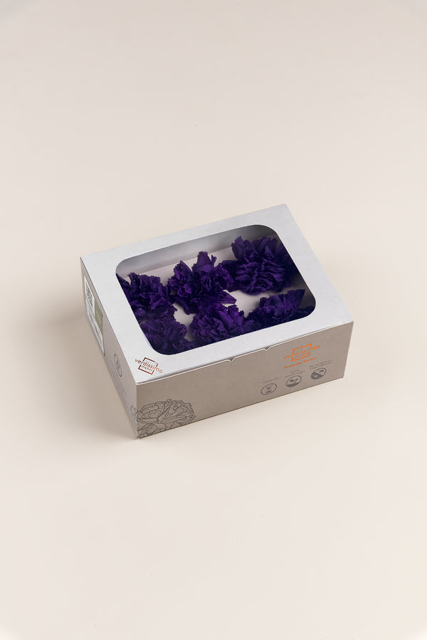 Carnation - Box 6 heads