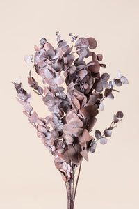 Moka Cacao d'Automne