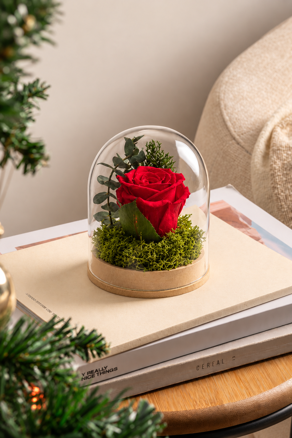 Christmas Dome