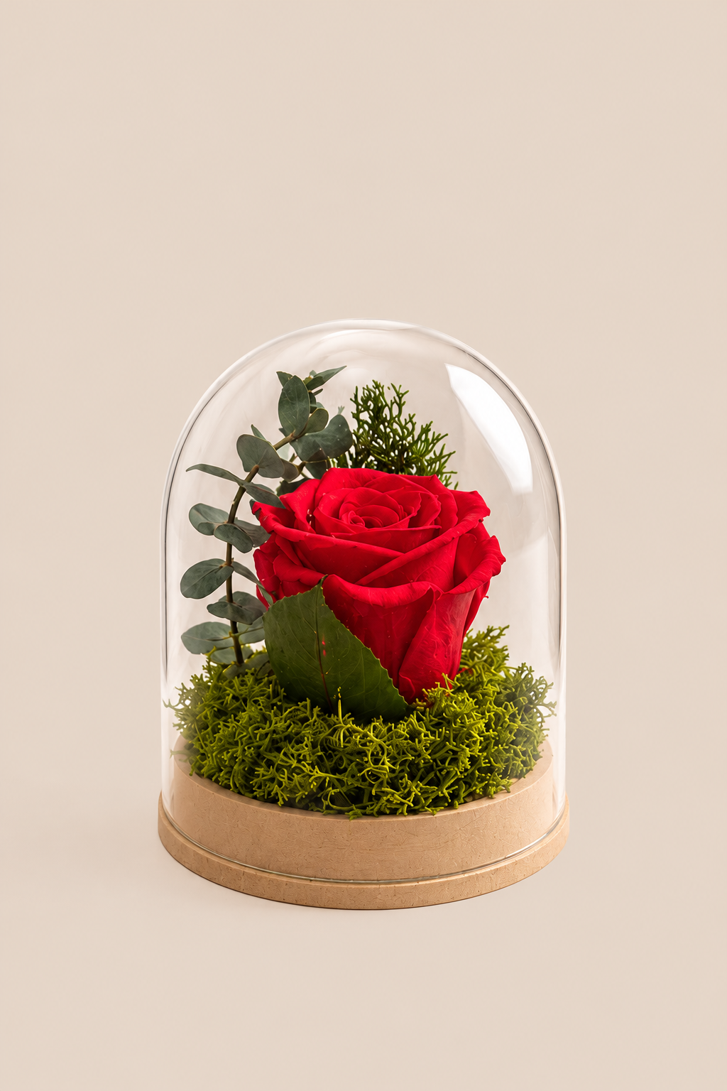 Christmas Dome