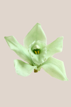 Mintgrün