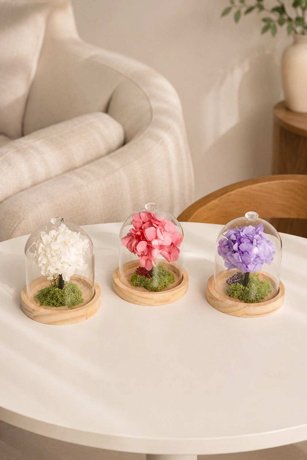 Hydrangea Dome