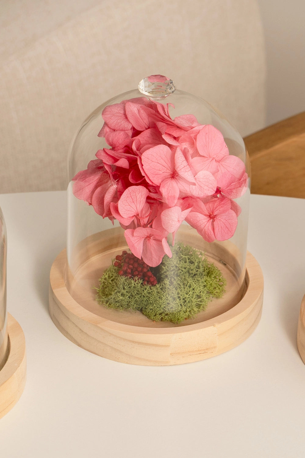 Hydrangea Dome