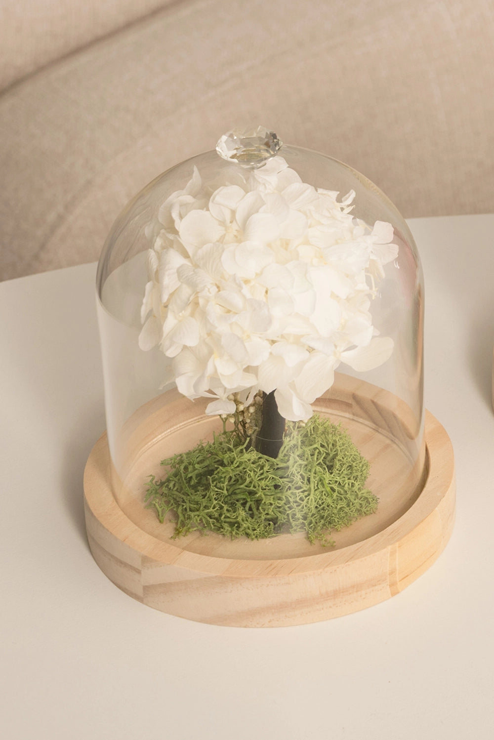 Hydrangea Dome