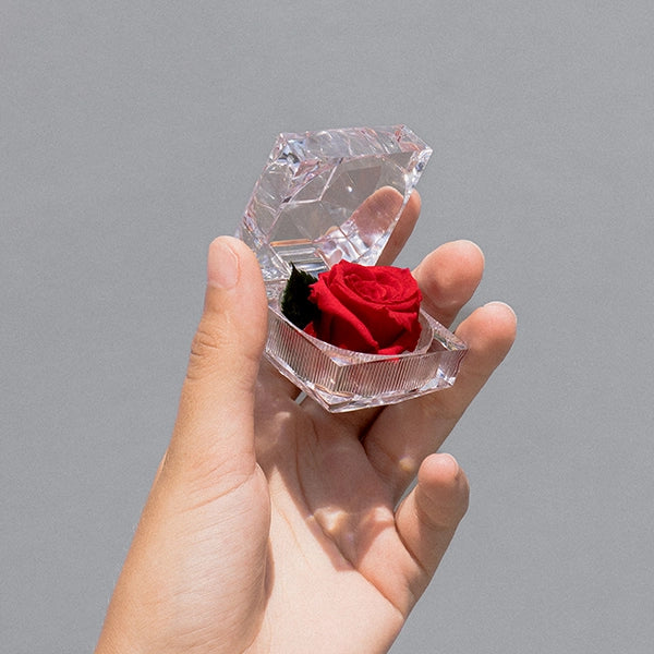 <p>Geschenke</p>