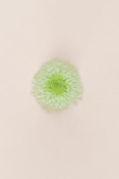 Verde menta