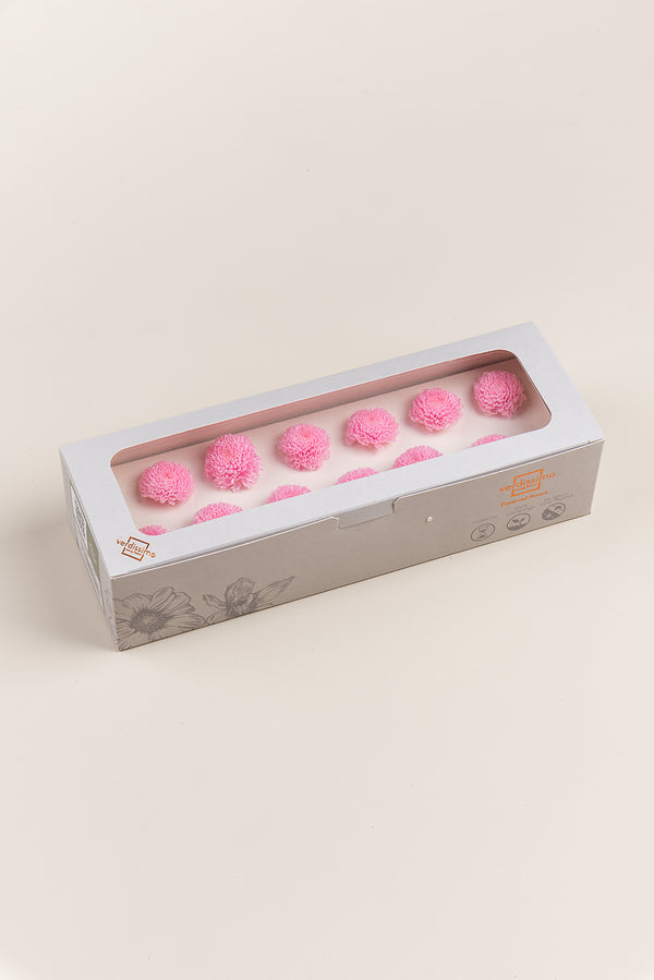 Focus Chrysanthemum - Box 12 heads