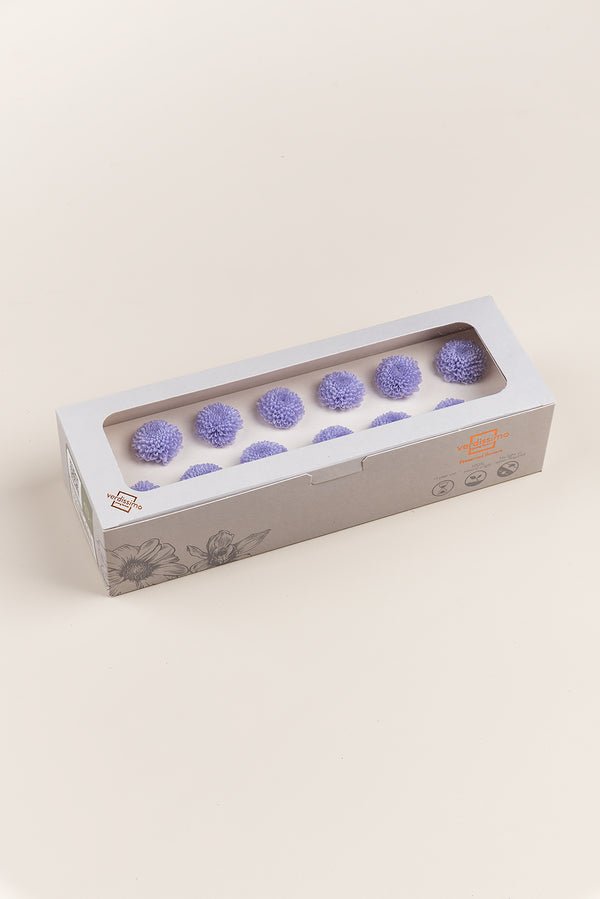 Focus Chrysanthemum - Box 12 heads