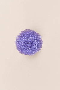 Lilas doux