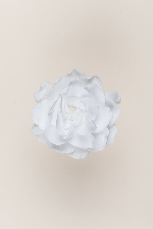 Gardenia – Box mit 3 Blütenköpfen