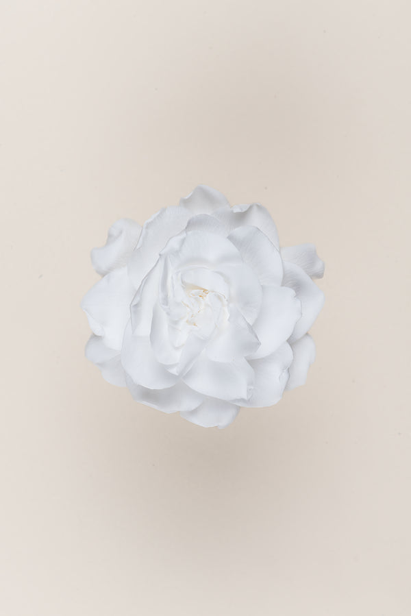 Gardenia - Box 3 heads