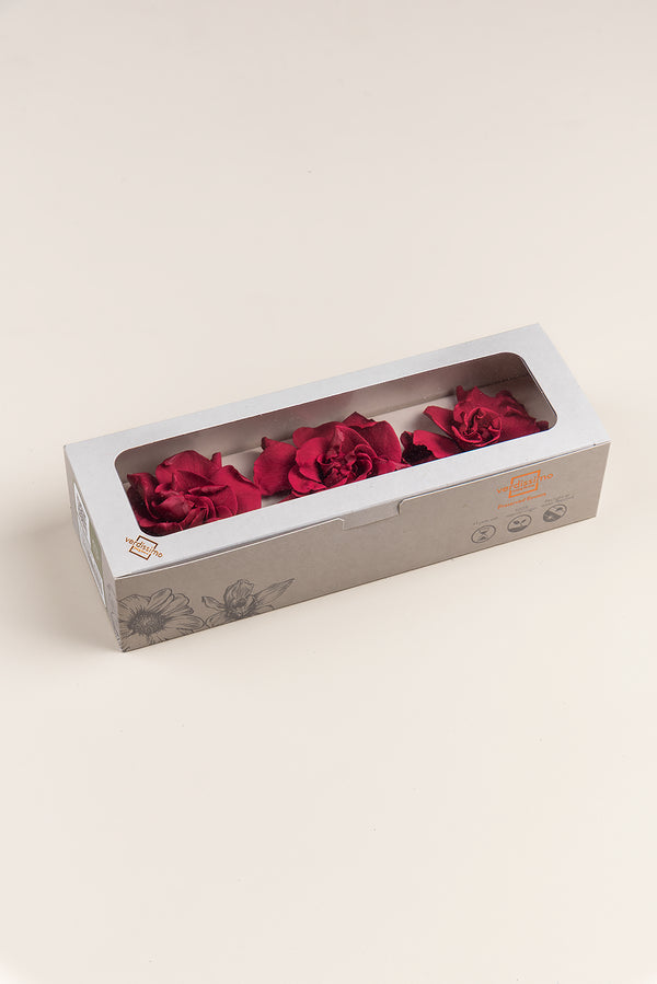 Gardenia - Box 3 heads