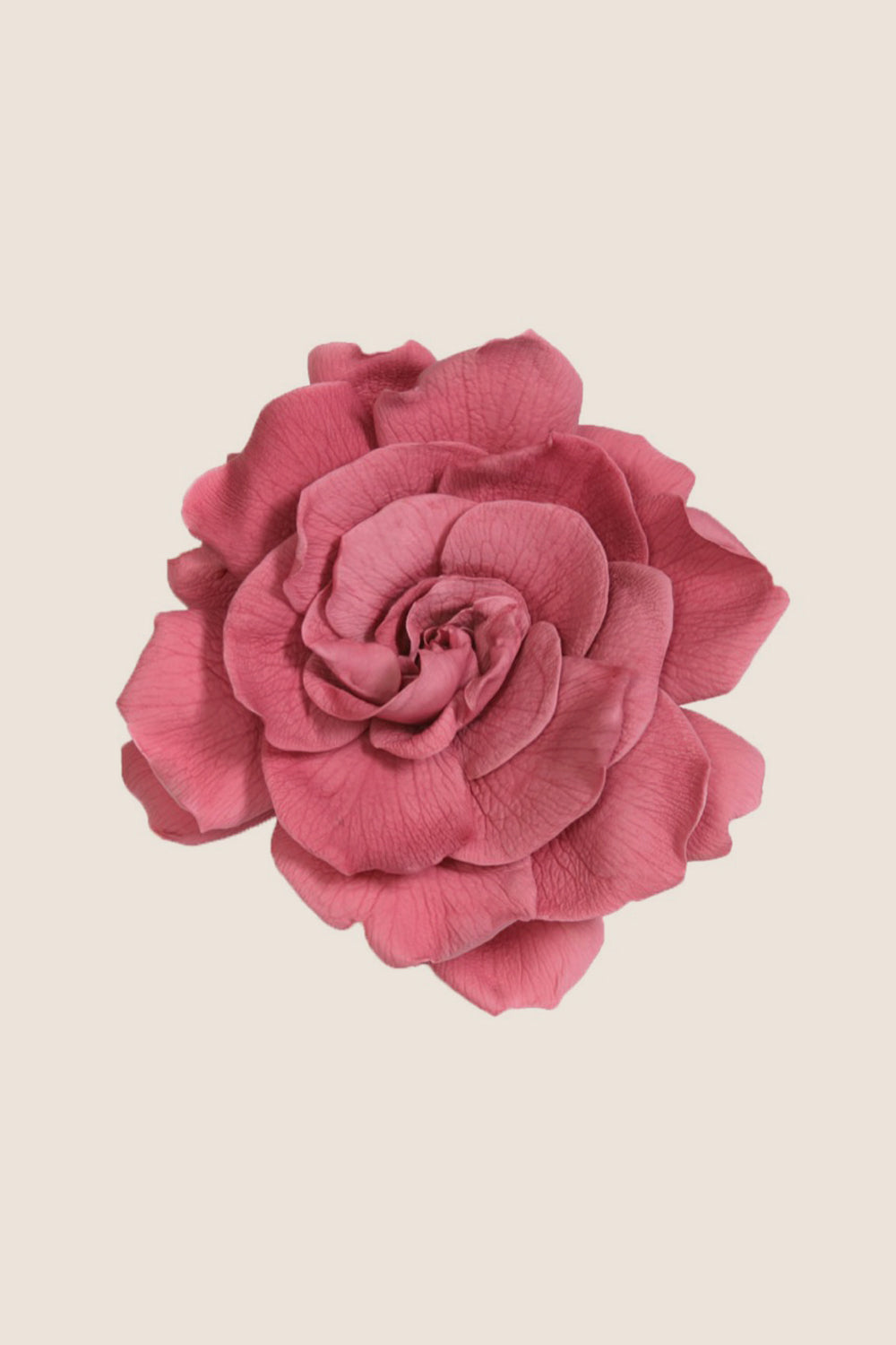 Gardénia - Coffret 3 têtes