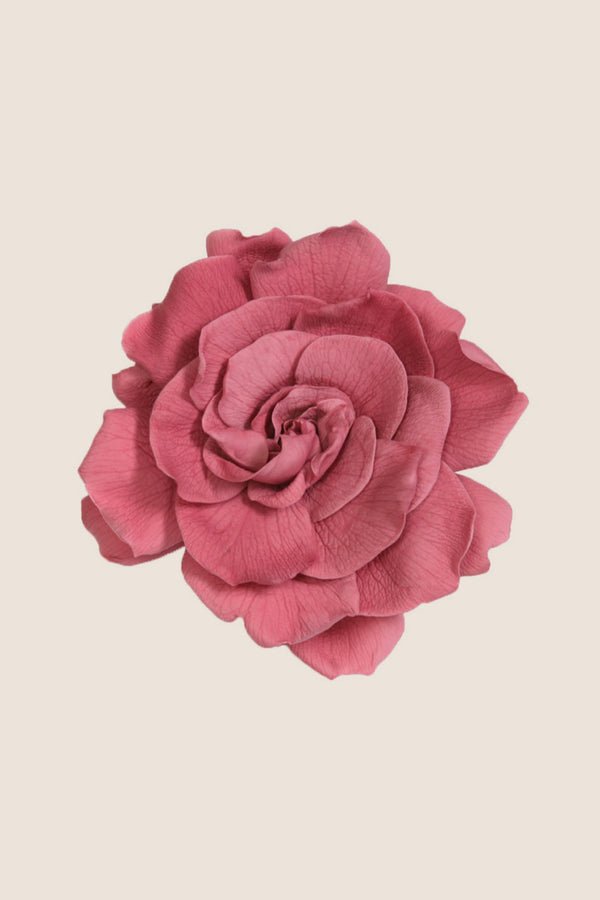 Gardenia - Box 3 heads