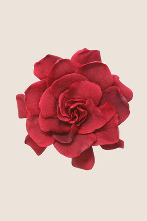 Gardénia - Coffret 3 têtes