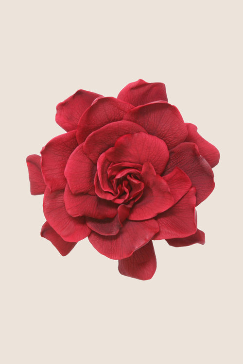 Gardenia - Box 3 heads