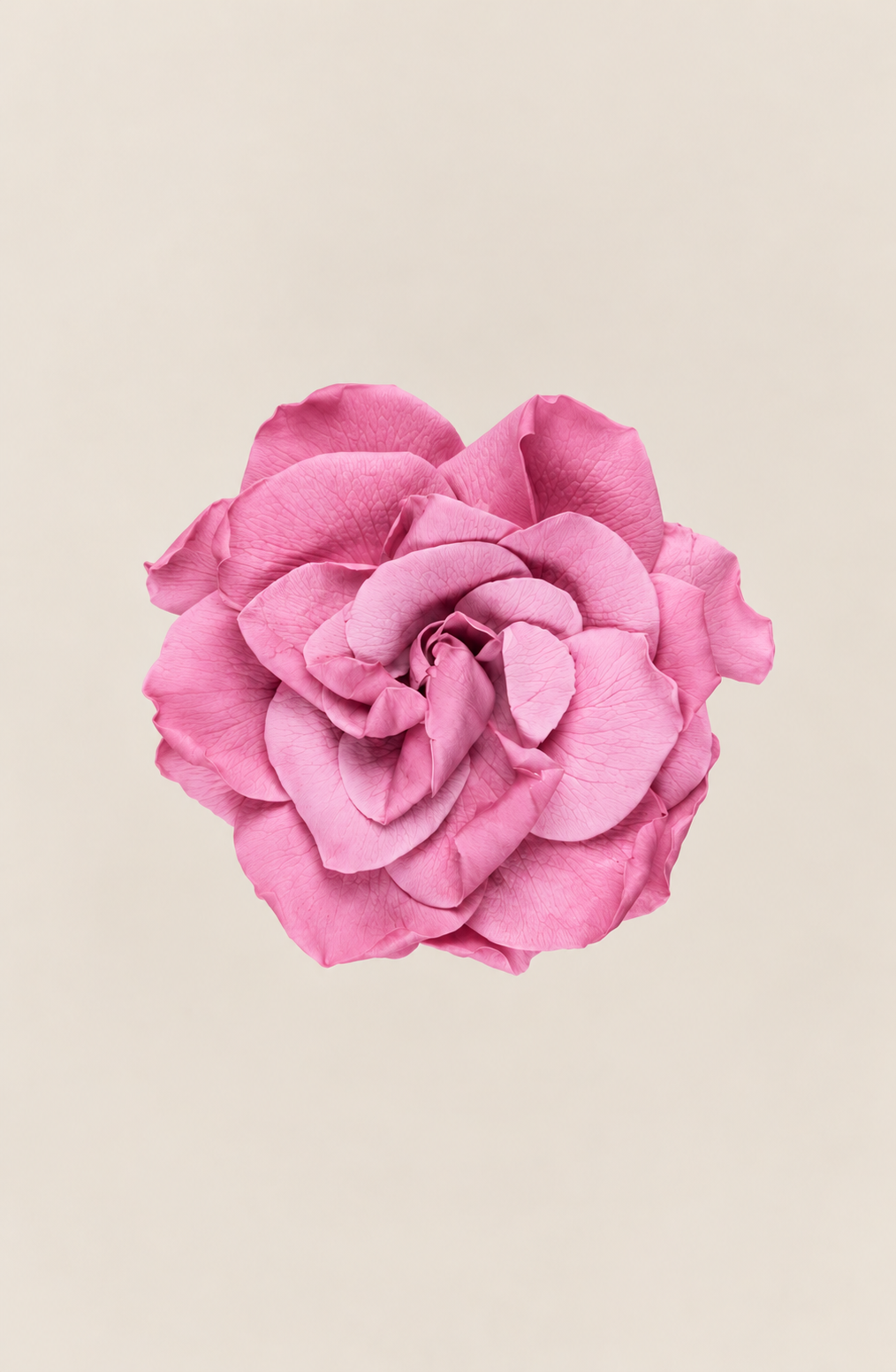 Gardenia - Caja 3 cabezas