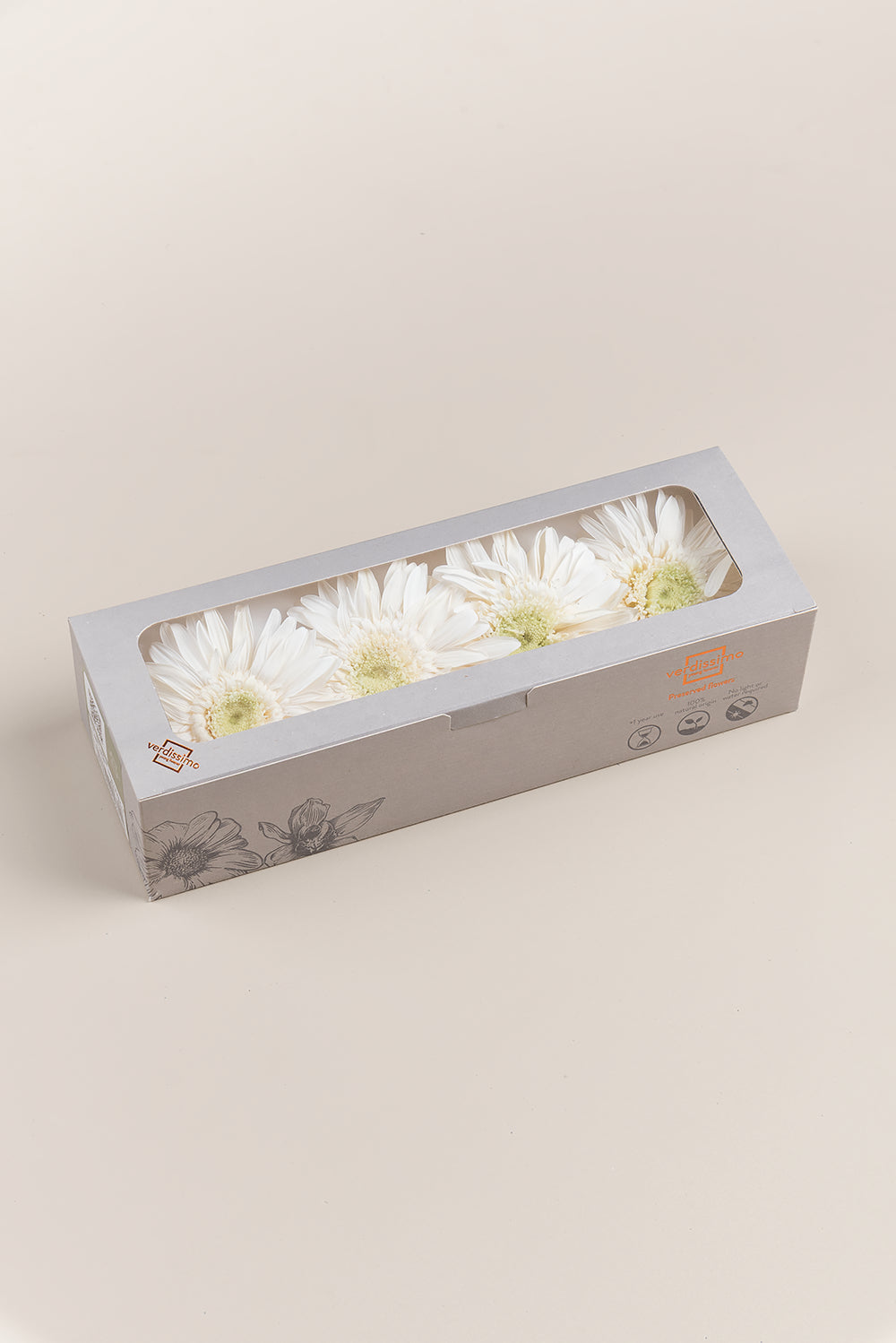 Gerbera - Box 4 heads