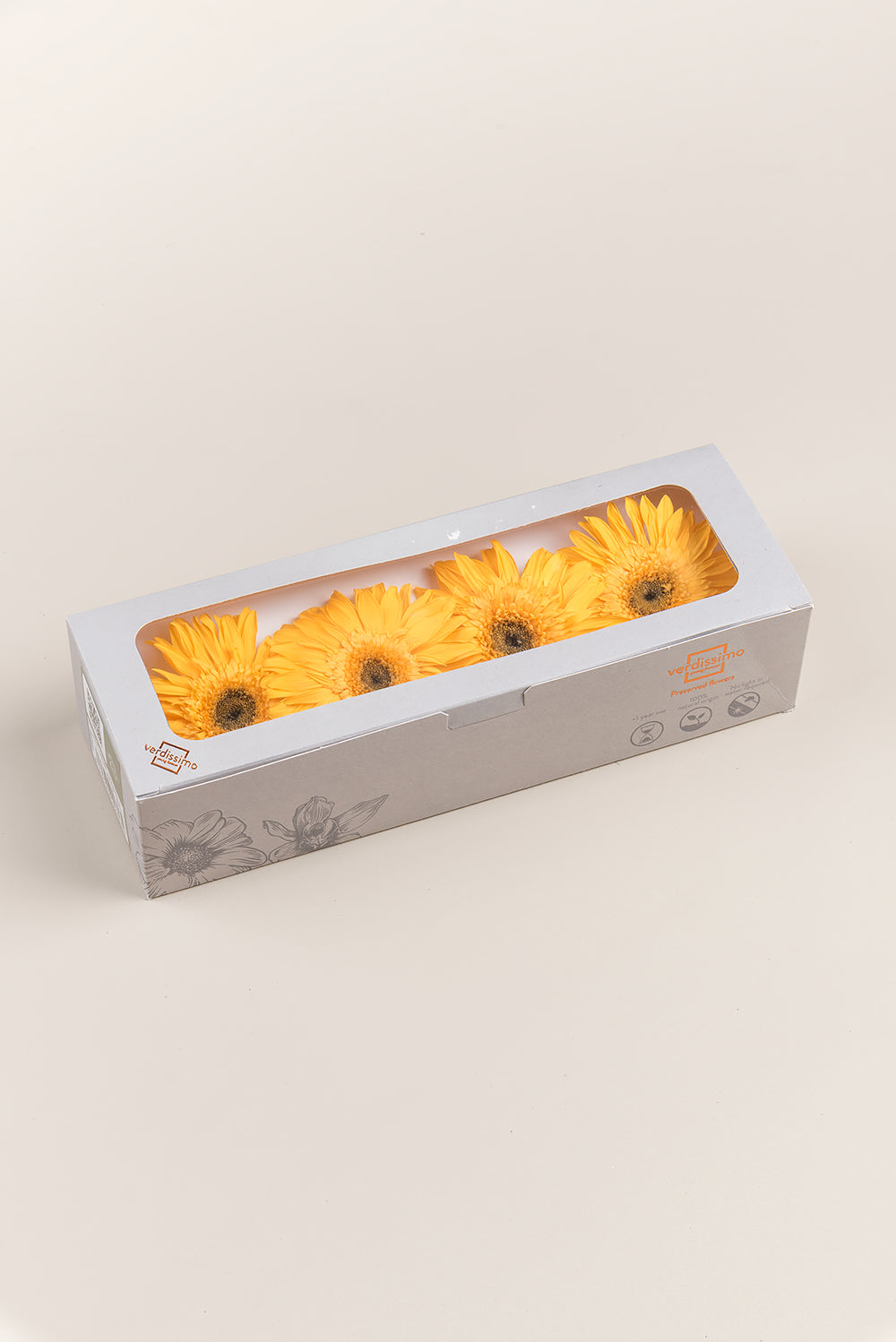 Gerbera - Box 4 heads