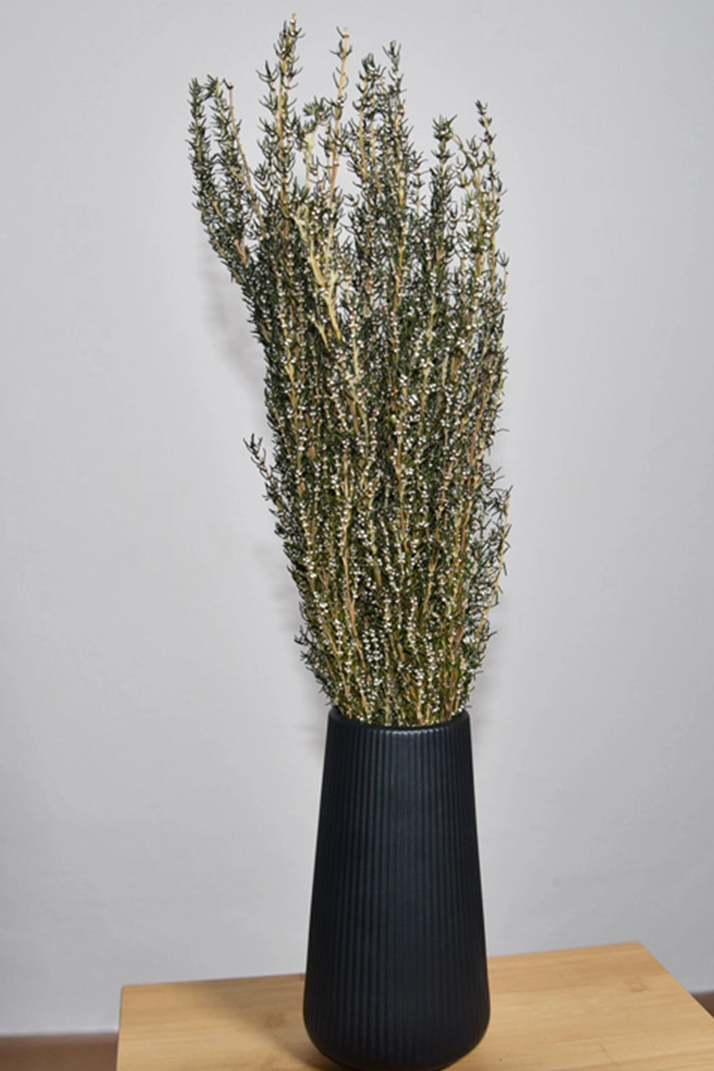 Grabia
