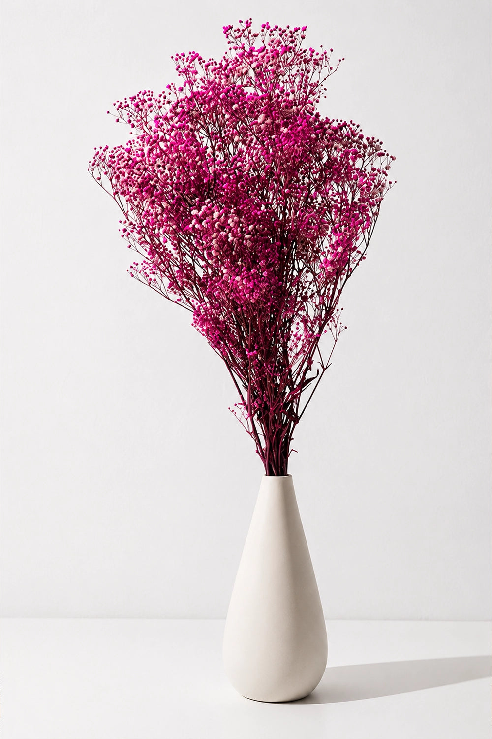 Gypsophila