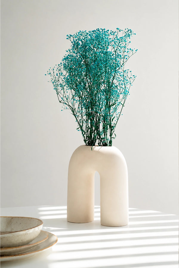 Gypsophila