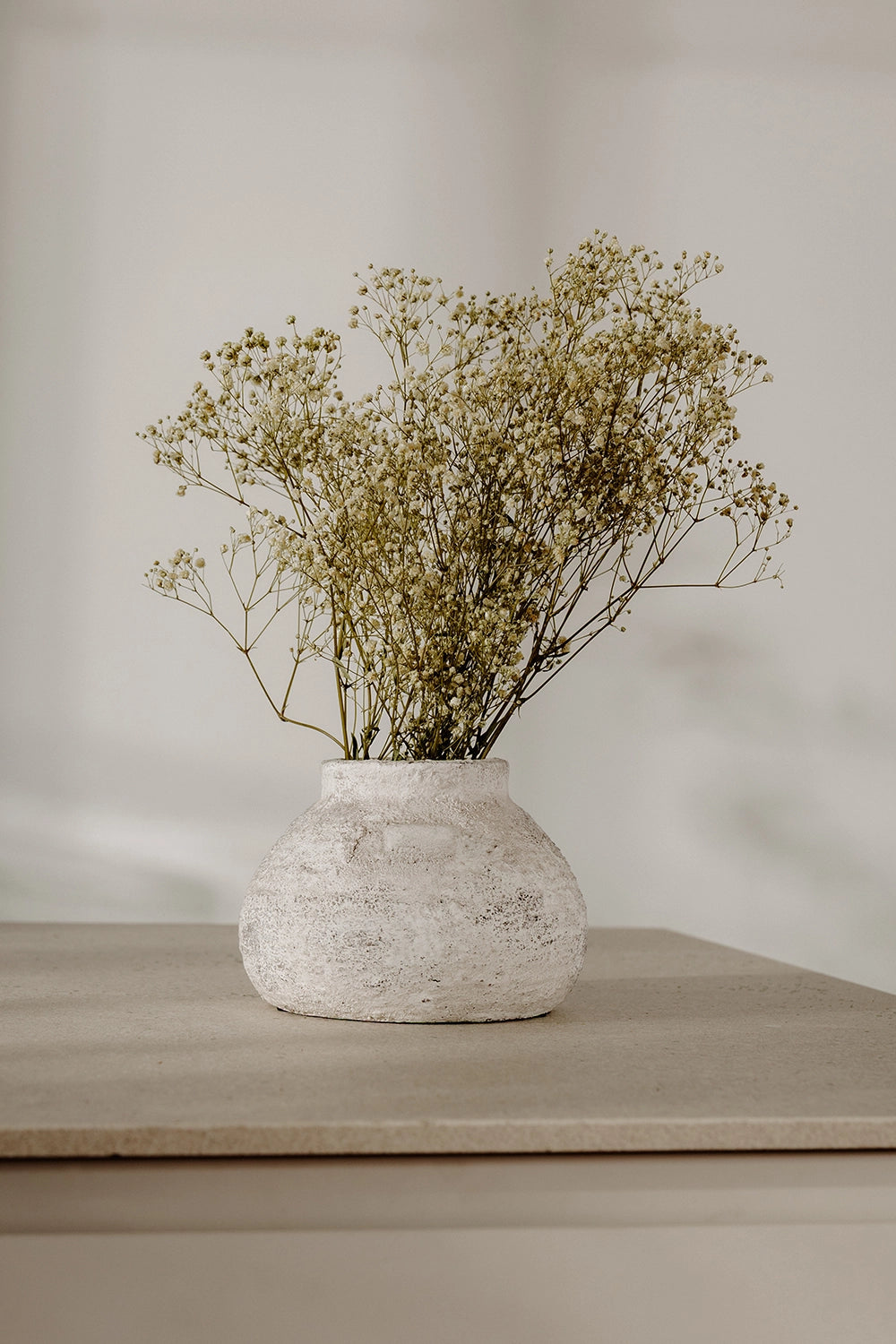 Gypsophila