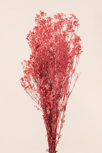 Rose pâle