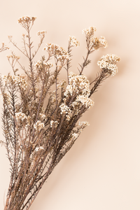Blanc naturel