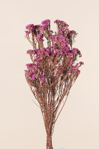 Lilas