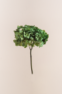 Vert gazon