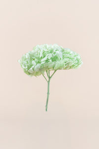 Vert menthe