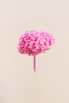 Pastel Pink