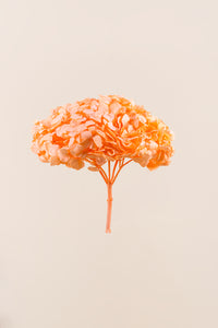 Orange clair