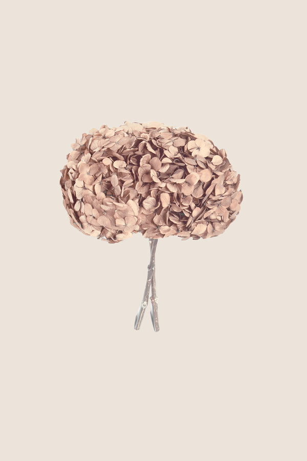 A preserved decorative hydrangea stem with a rounded cluster of muted nude flower petals on a light warm beige background.