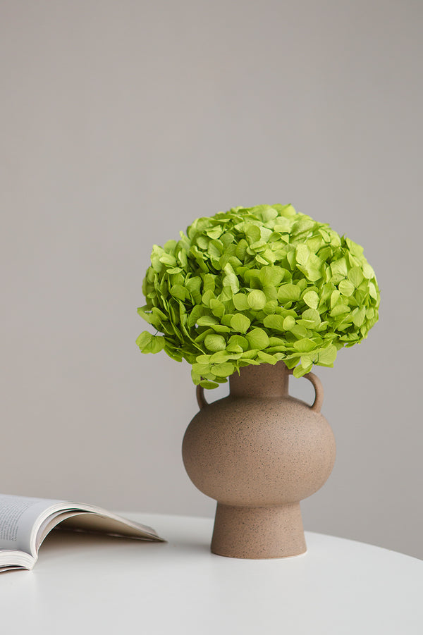 Premium Hydrangea