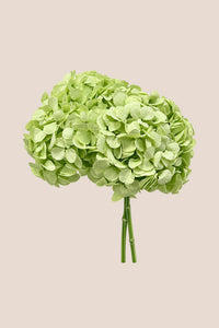 Citrus Green