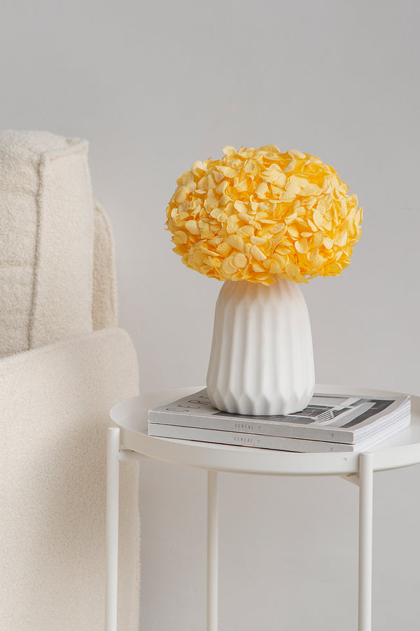 Premium Hydrangea