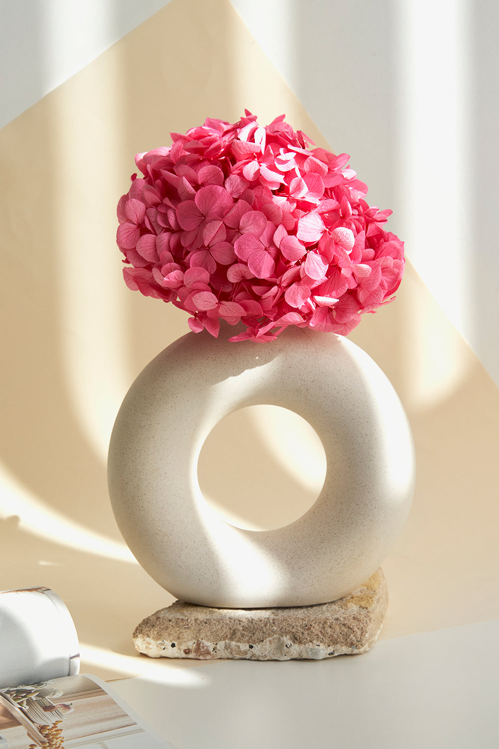 Premium Hydrangea
