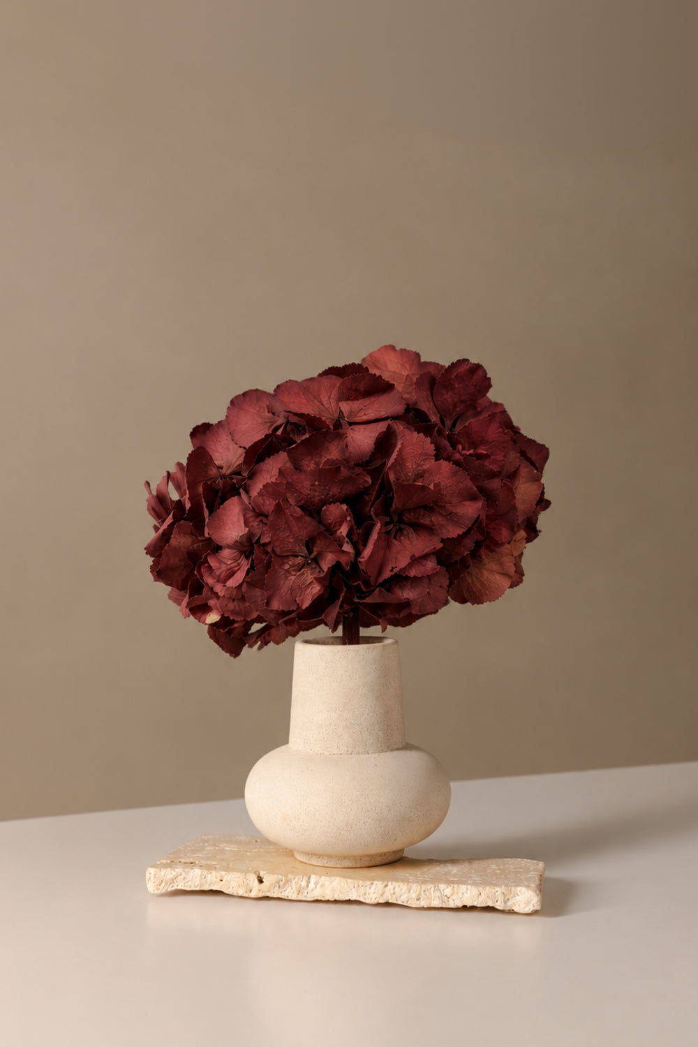 Premium Hydrangea