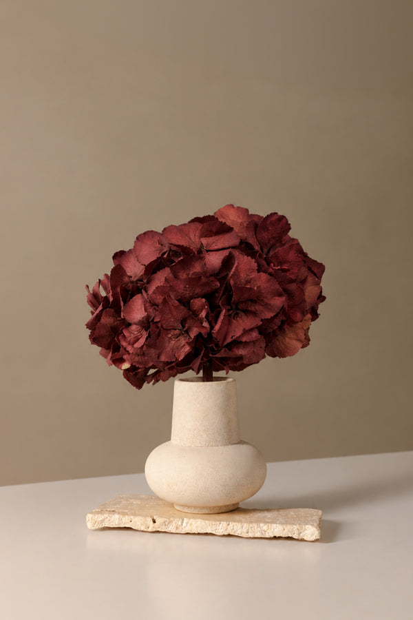 Hortensia Premium