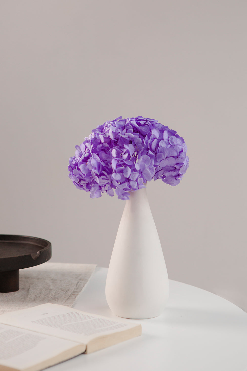 Premium Hydrangea