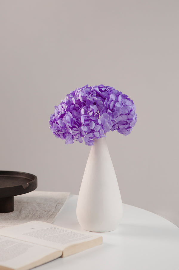 Premium Hydrangea