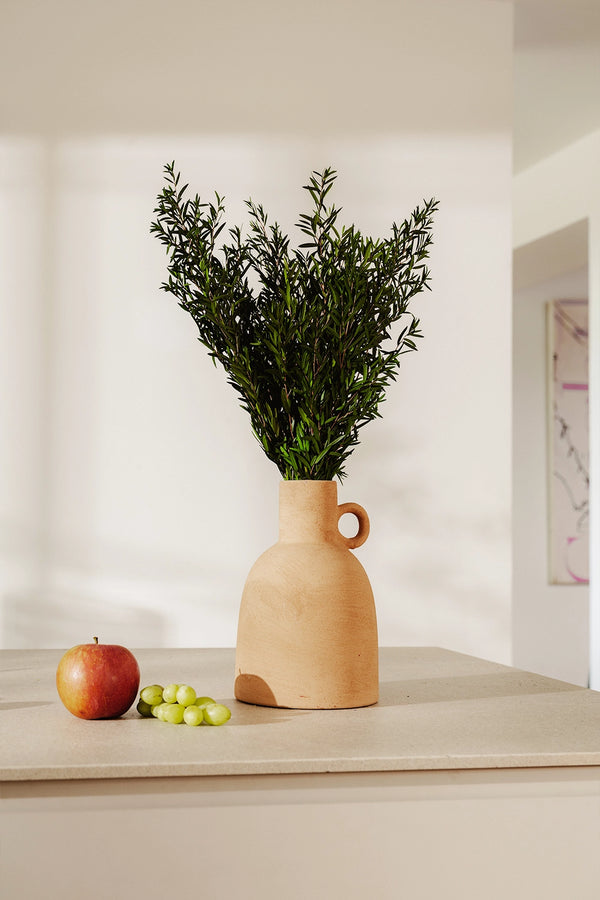 Lepto Lungifolia