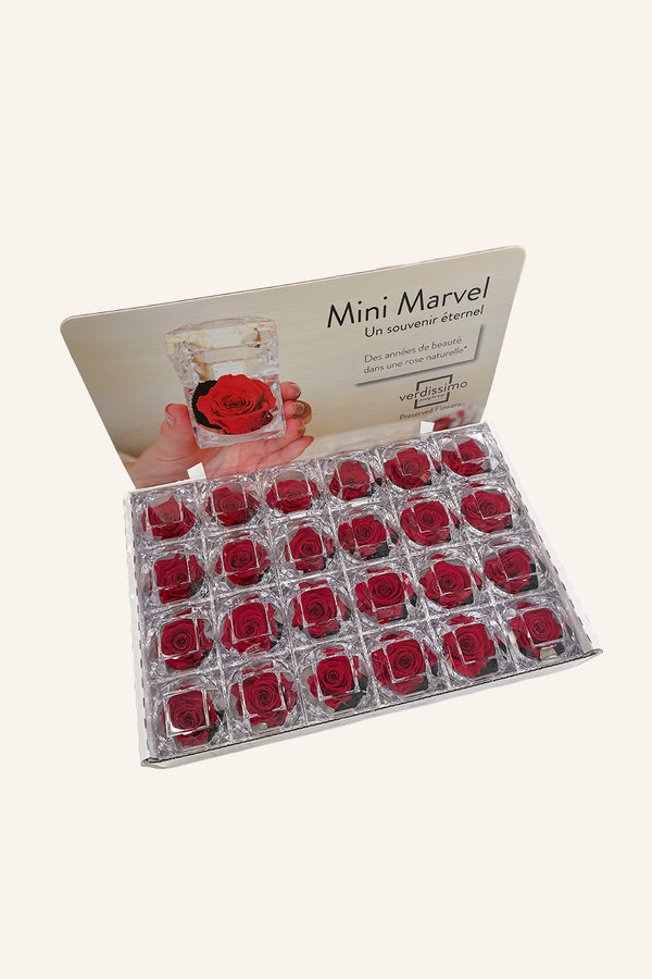 Mini Marvel