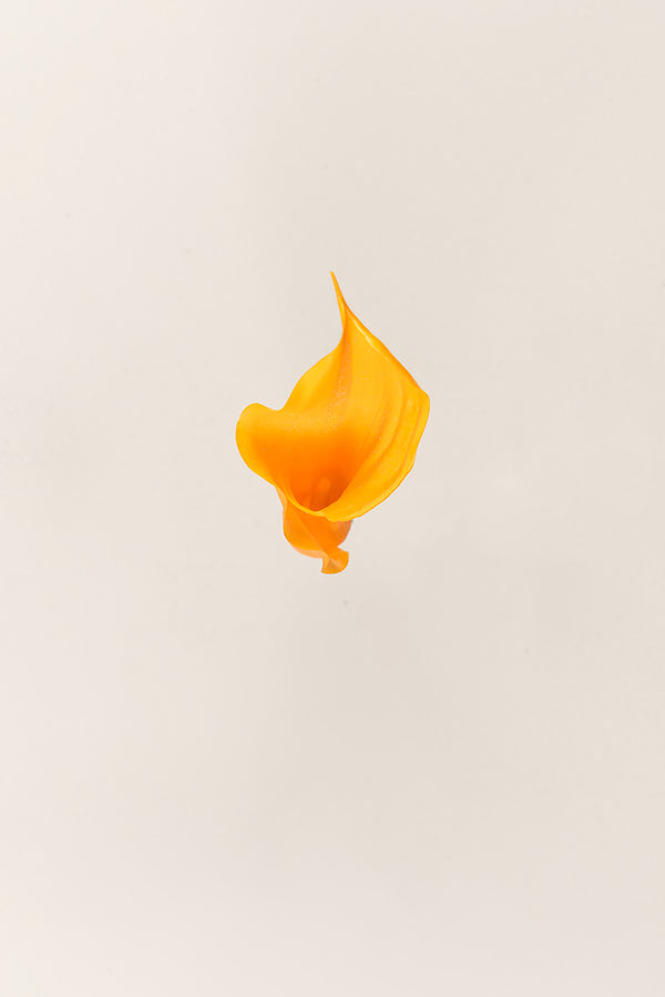 Mini Callas - Box 5 heads