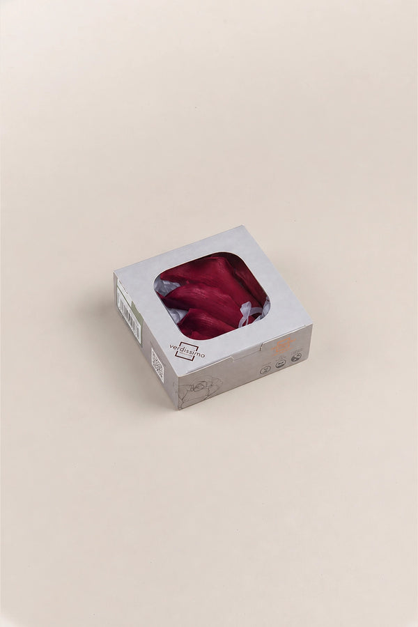 Mini Callas - Box 5 heads