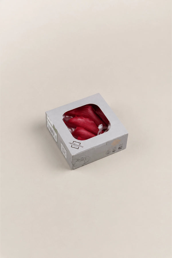 Mini Callas - Box 5 heads