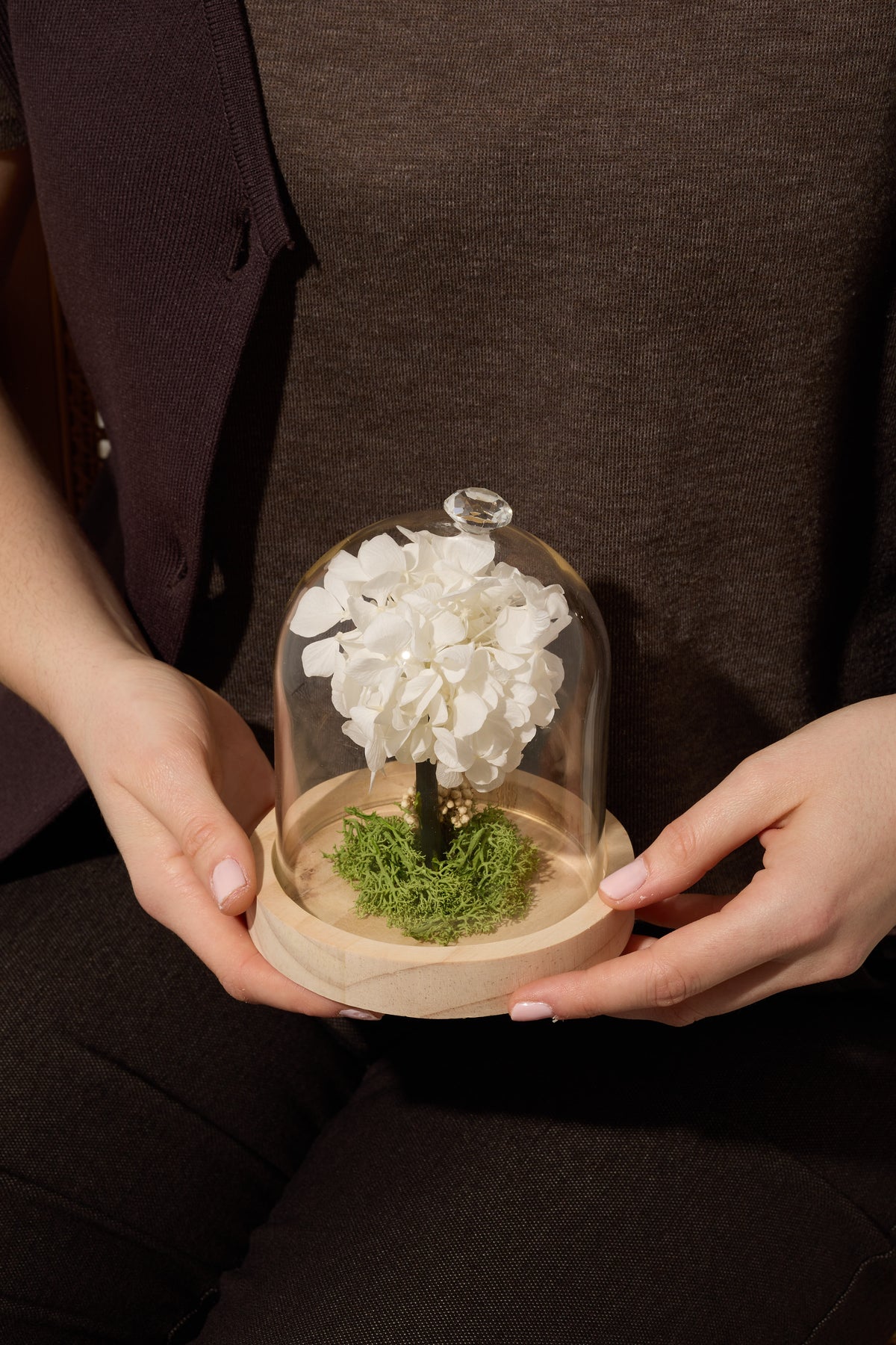 Hydrangea Dome